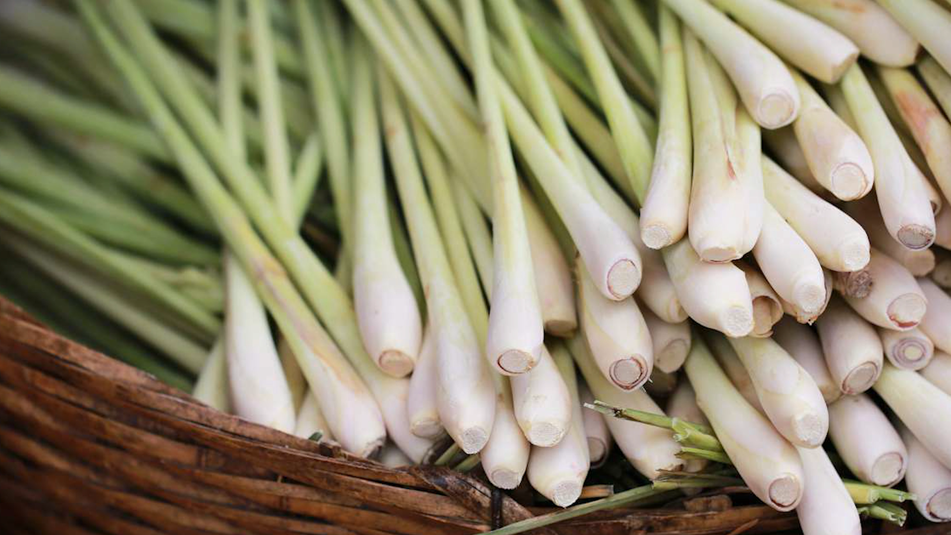Lemongrass